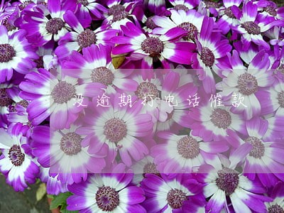 没逾期打电话催款 没逾期打电话催款