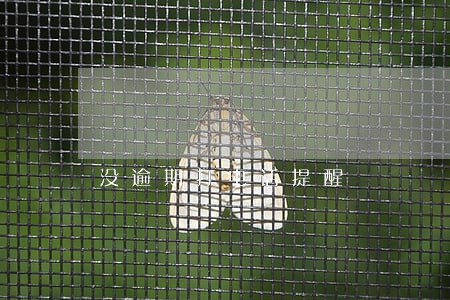 没逾期打电话提醒 没逾期打电话提醒