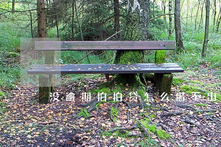 没逾期拍拍贷怎么借不出来 没逾期拍拍贷怎么借不出来