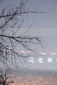 没逾期拒贷灰名单 没逾期拒贷灰名单