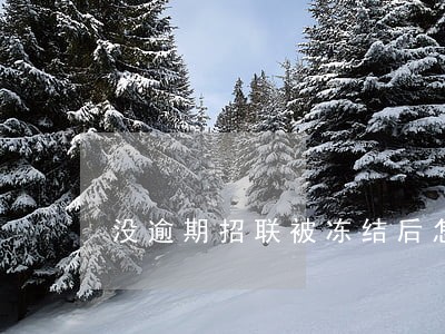 没逾期招联被冻结后怎么解冻 没逾期招联被冻结后怎么解冻