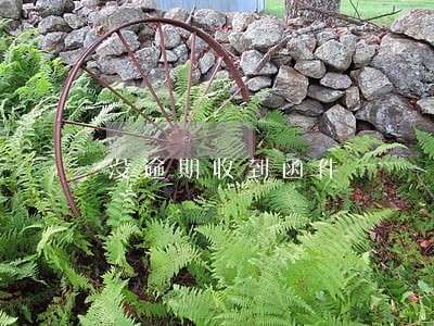 没逾期收到函件 没逾期收到函件