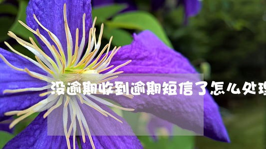 没逾期收到逾期短信了怎么处理 没逾期收到逾期短信了怎么处理