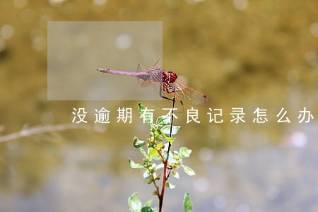 没逾期有不良记录怎么办 没逾期有不良记录怎么办