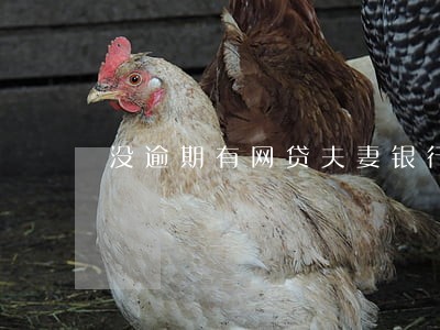没逾期有网贷夫妻银行贷款 没逾期有网贷夫妻银行贷款