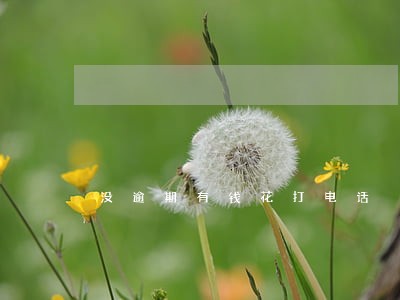 没逾期有钱花打电话 没逾期有钱花打电话