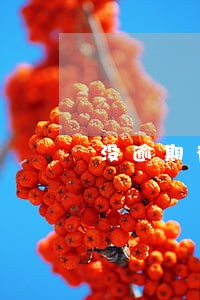 没逾期有额度不下款 没逾期有额度不下款