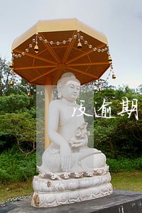 没逾期查询多 没逾期查询多
