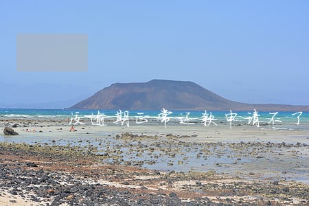 没逾期正常还款申请不了信用卡