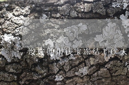 没逾期用钱宝冻结10天 没逾期用钱宝冻结10天