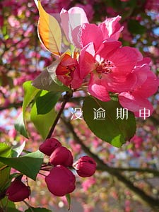 没逾期申请不到信用卡 没逾期申请不到信用卡