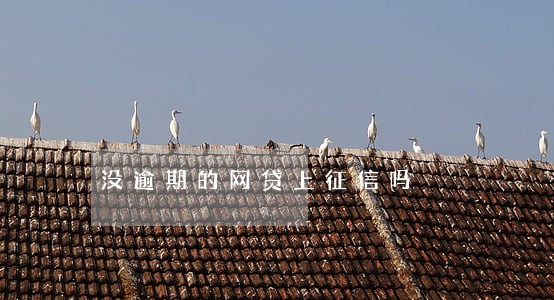 没逾期的网贷上征信吗 没逾期的网贷上征信吗