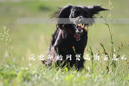 没逾期的网贷还清后怎么消除记录 没逾期的网贷还清后怎么消除记录