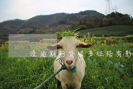 没逾期网贷很多征信有影响吗