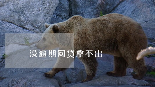 没逾期网贷拿不出 没逾期网贷拿不出