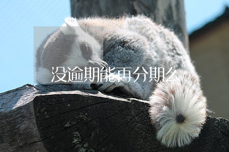 没逾期能再分期么 没逾期能再分期么
