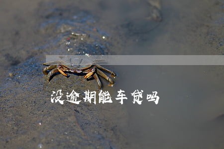 没逾期能车贷吗 没逾期能车贷吗