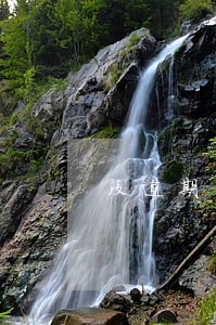 没逾期花呗冻结借呗降额 没逾期花呗冻结借呗降额
