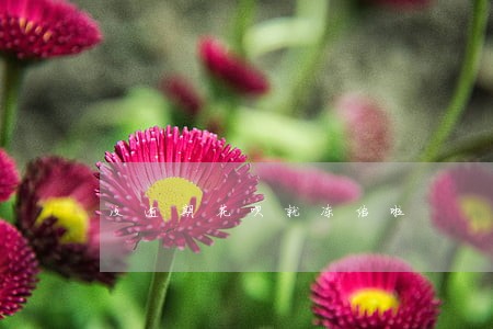 没逾期花呗就冻结啦