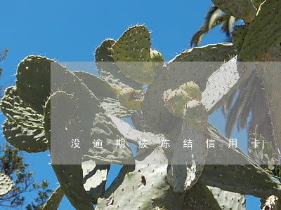 没逾期被冻结信用卡 没逾期被冻结信用卡