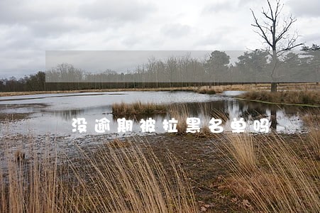 没逾期被拉黑名单吗 没逾期被拉黑名单吗