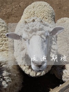没逾期被提醒逾期 没逾期被提醒逾期