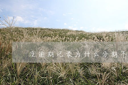 没逾期记录为什么分期不了手机