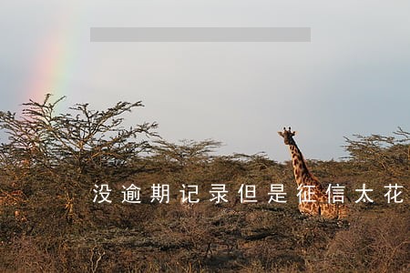 没逾期记录但是征信太花怎么借钱 没逾期记录但是征信太花怎么借钱