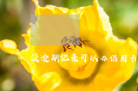 没逾期记录可以办信用卡吗 没逾期记录可以办信用卡吗