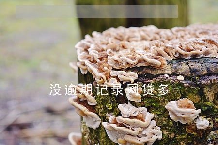 没逾期记录网贷多 没逾期记录网贷多