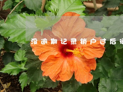 没逾期记录销户过后征信有记录吗 没逾期记录销户过后征信有记录吗