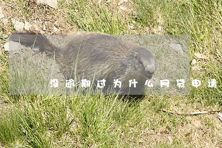 没逾期过为什么网贷申请失败