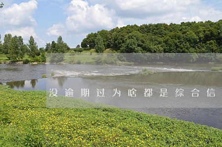 没逾期过为啥都是综合信用 没逾期过为啥都是综合信用