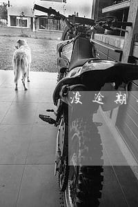 没逾期过但是借款全下不了了 没逾期过但是借款全下不了了