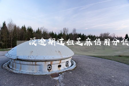 没逾期过但芝麻信用分低