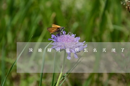 没逾期过借呗怎么关闭了 没逾期过借呗怎么关闭了