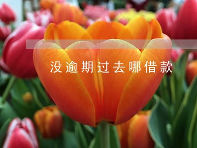 没逾期过去哪借款 没逾期过去哪借款