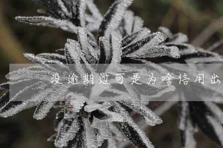 没逾期过可是为啥信用出问题 没逾期过可是为啥信用出问题