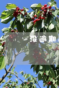没逾期过所有网贷不下款 没逾期过所有网贷不下款