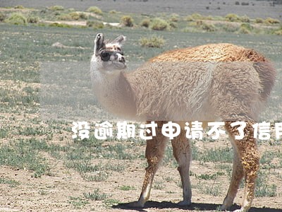 没逾期过申请不了信用卡吗 没逾期过申请不了信用卡吗