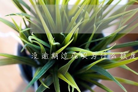没逾期过花呗为什么额度降了 没逾期过花呗为什么额度降了