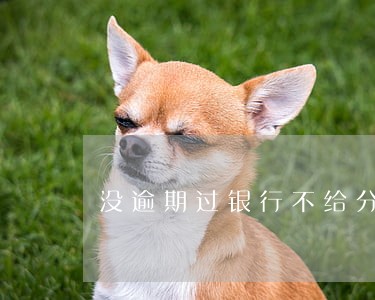 没逾期过银行不给分期 没逾期过银行不给分期