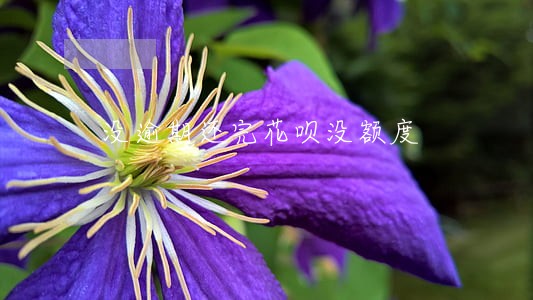没逾期还完花呗没额度 没逾期还完花呗没额度
