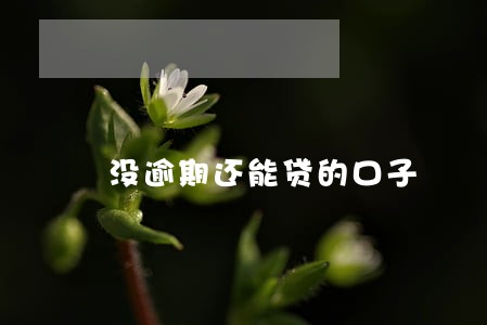 没逾期还能贷的口子 没逾期还能贷的口子