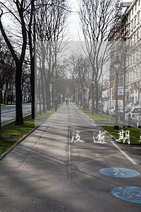 没逾期进黑名单怎么办 没逾期进黑名单怎么办