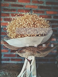 没逾期金条不能用 没逾期金条不能用