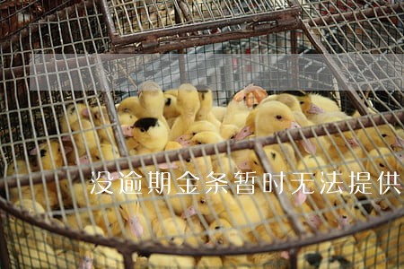 没逾期金条暂时无法提供借款服务 没逾期金条暂时无法提供借款服务