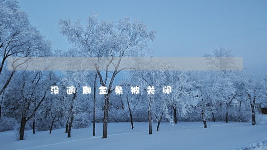 没逾期金条被关闭
