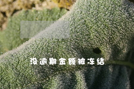 没逾期金额被冻结 没逾期金额被冻结