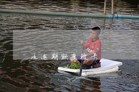 没逾期额度被卡 没逾期额度被卡